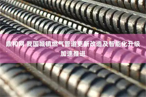 鼎和网 我国城镇燃气管道更新改造及智能化升级加速推进