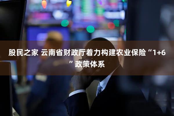 股民之家 云南省财政厅着力构建农业保险“1+6”政策体系