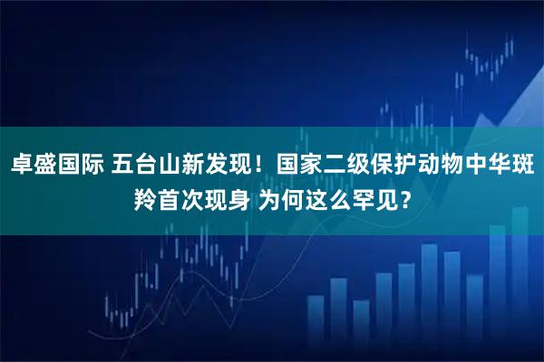 卓盛国际 五台山新发现！国家二级保护动物中华斑羚首次现身 为何这么罕见？