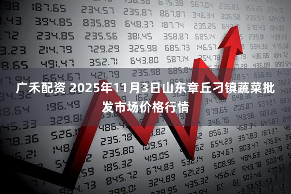 广禾配资 2025年11月3日山东章丘刁镇蔬菜批发市场价格行情