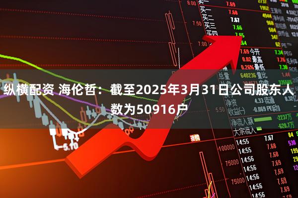 纵横配资 海伦哲：截至2025年3月31日公司股东人数为50916户