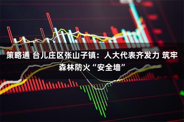 策略通 台儿庄区张山子镇：人大代表齐发力 筑牢森林防火“安全墙”